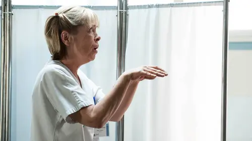 Workingirls à l'hôpital S04E06 Le VIP