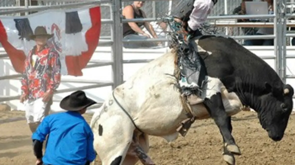 World Finals Rodéo Pro Bull Riding 2015