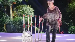 Visuel de Wouf, quel chien sera à la hauteur ?