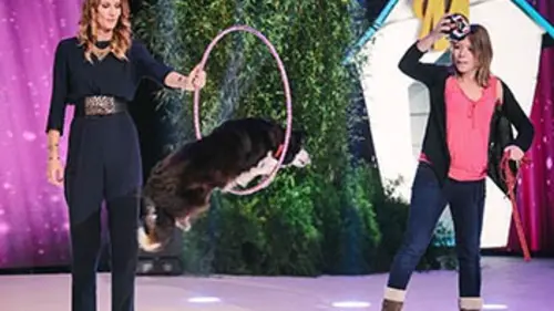 Wouf, quel chien sera à la hauteur ? Finale