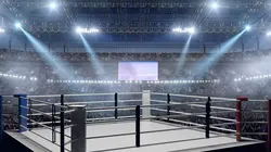 Wrestlemania : 40 ans d'histoires Wrestlemania 25