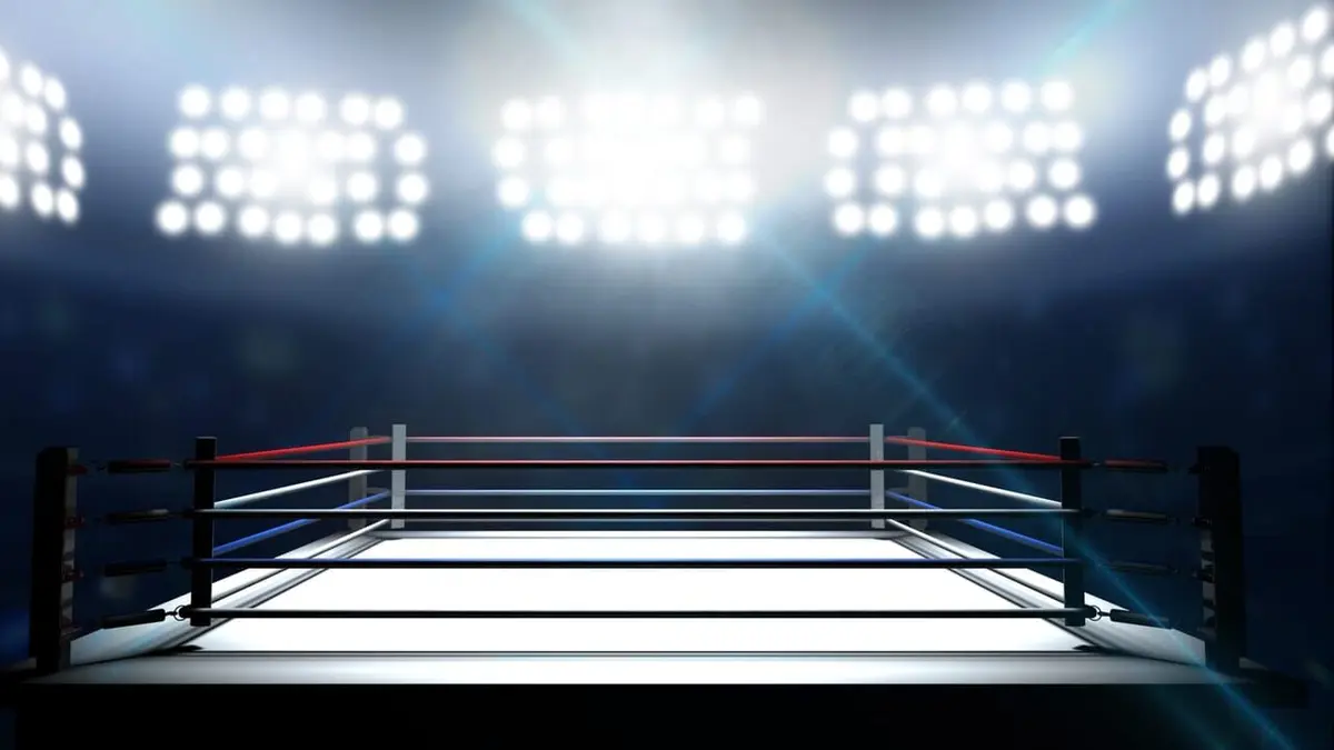 Wrestlemania : 40 ans d'histoires Wrestlemania 30