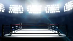 Wrestlemania : 40 ans d'histoires Wrestlemania 30