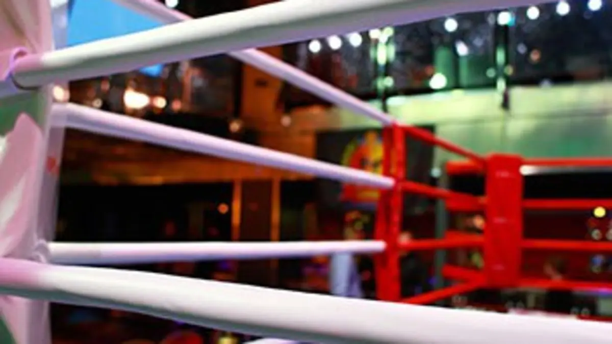 WWE Main Event : Pay Per View