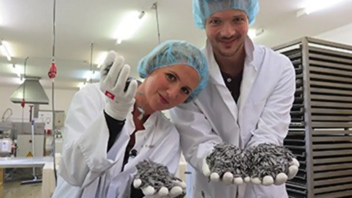 X:enius La réglisse : bonbon et médicament ?
