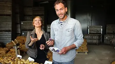 La pomme de terre n'a pas la frite