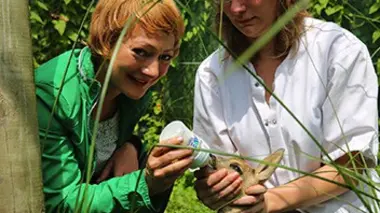 Sangliers, mouettes : animaux nuisibles ou indésirables ?