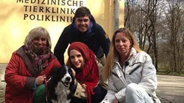 Nourriture pour chiens et chats : qu'y a-t-il dans la boîte ?