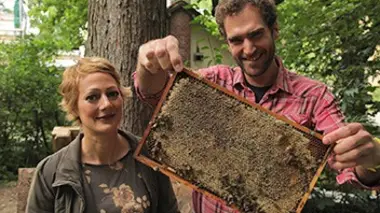 Que vaut l'apithérapie ?