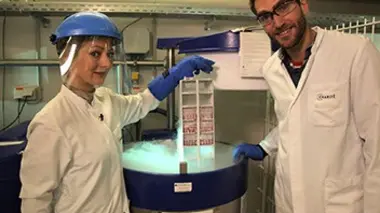 La cryoconservation, qu'est-ce que c'est ?