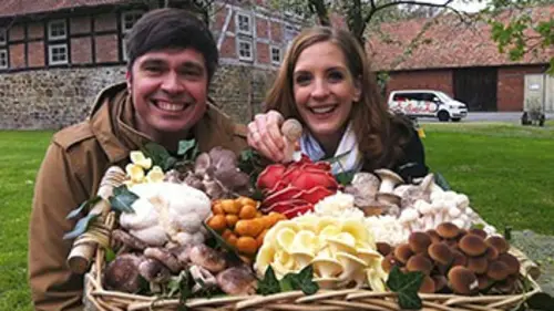 X:enius Les champignons sont-ils dangereux ?