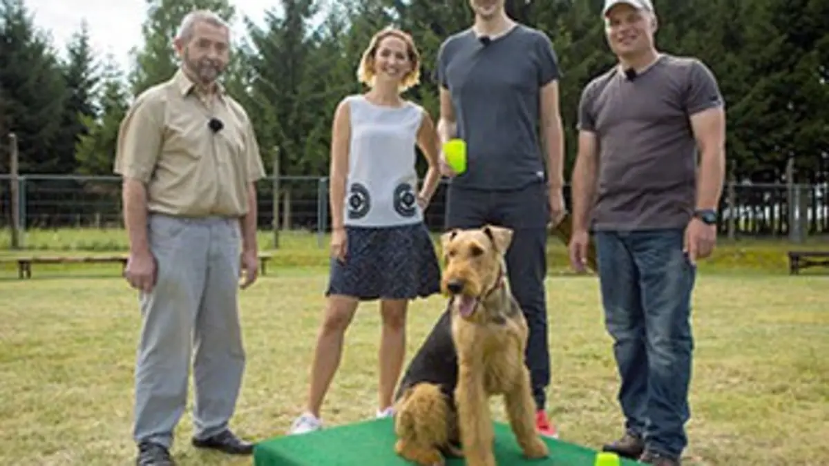 X:enius Les animaux ont-ils l'esprit d'équipe ?