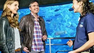 Les éponges peuvent-elles sauver des vies humaines ?