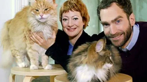 X:enius Peut-on éduquer un chat ?