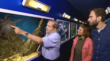 Les animaux venimeux : que peuvent-ils apporter à la science ?