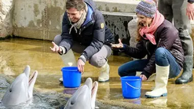 Les zoos d'aujourd'hui (1/5)