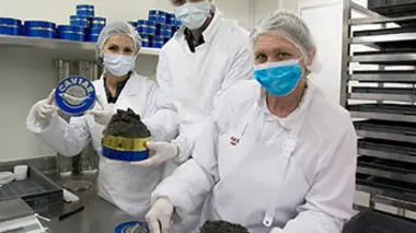 Le caviar : peut-on sauver l’esturgeon ?