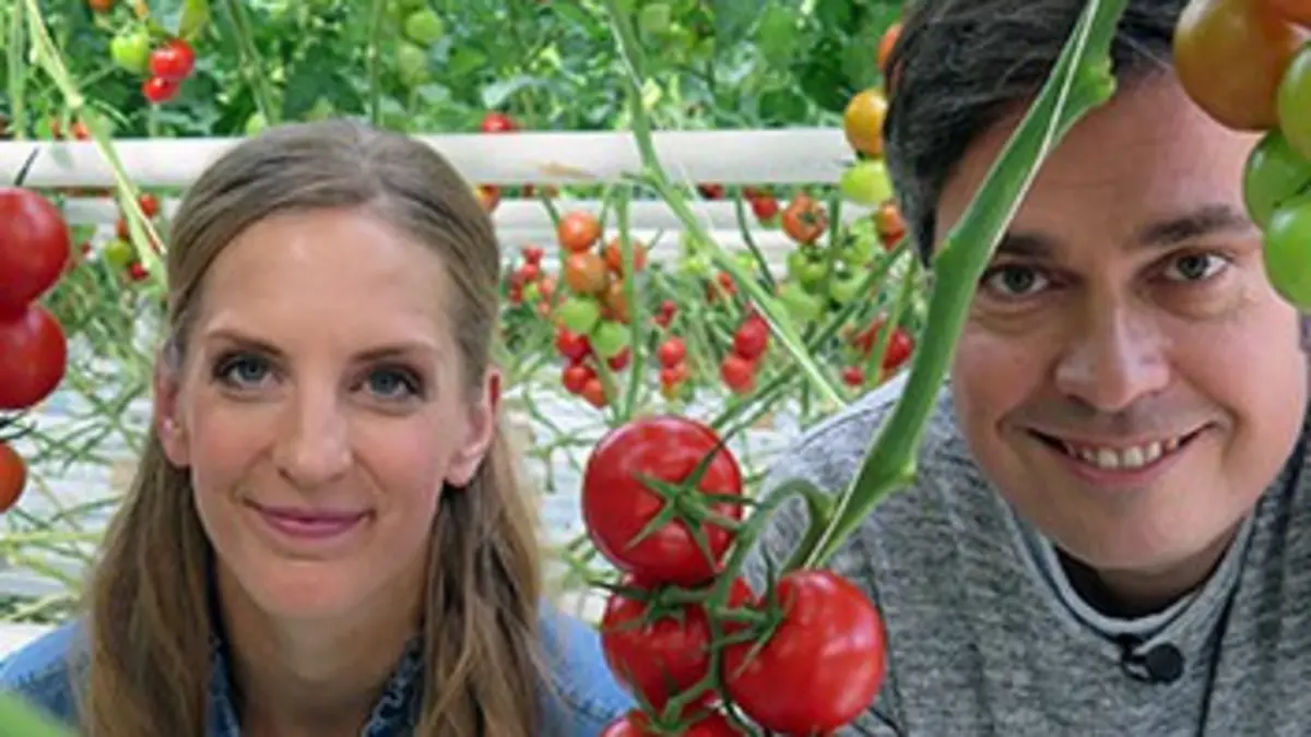 X:enius Fruits et légumes : les cultures de masse riment-elles avec qualité ?