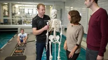 L'ostéopathie : quelle est l'efficacité de cette technique ?