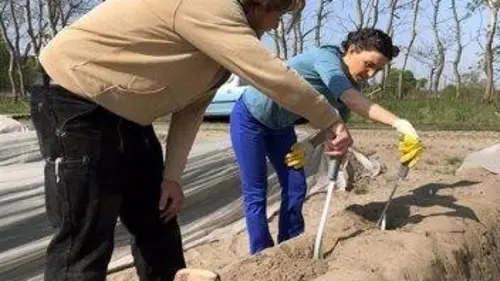 Casting X:enius Pandémie : les difficultés des agriculteurs