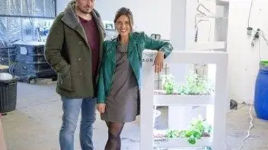 L'hydroponie, les promesses de l'agriculture hors-sol