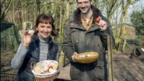 X:enius L'oeuf et ses secrets