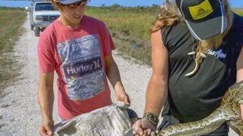 X:enius Comment réparer nos dégâts?