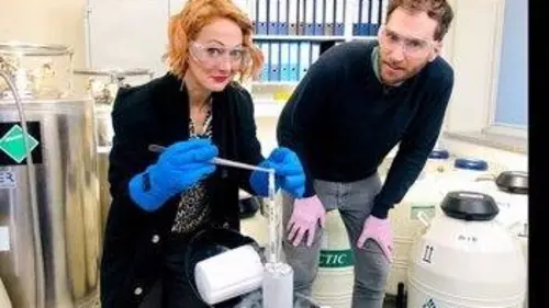 X:enius Sperme : la fertilité en déclin