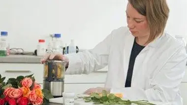 Le bouquet de fleurs, un cadeau empoisonné