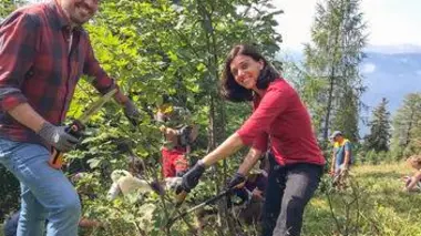 Les alpages : Nécessaire lutte contre l'enfrichement