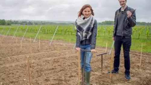 X:enius Les cépages résistants