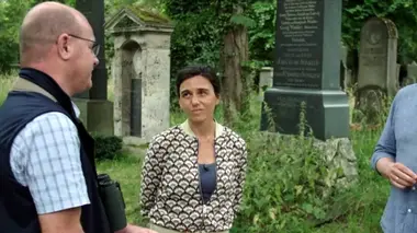 Prodigieux oiseaux : des athlètes insoupçonnés