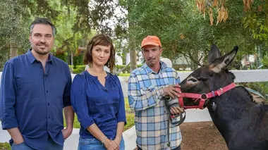 Animaux de travail : des méthodes pour mieux les traiter