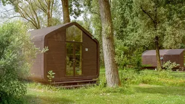 Les matériaux du futur : carton, champignons et popcorn