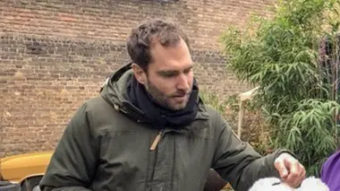 Les robes des chiens