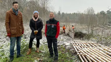La forêt de demain : Comment la planter et la protéger