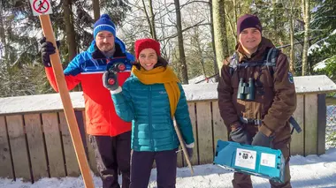 La faune sauvage : dérangée, chassée, tuée
