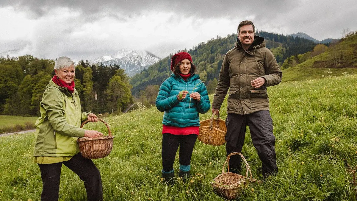 X:enius Les herbes folles, un trésor méconnu