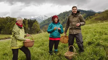 Les herbes folles, un trésor méconnu