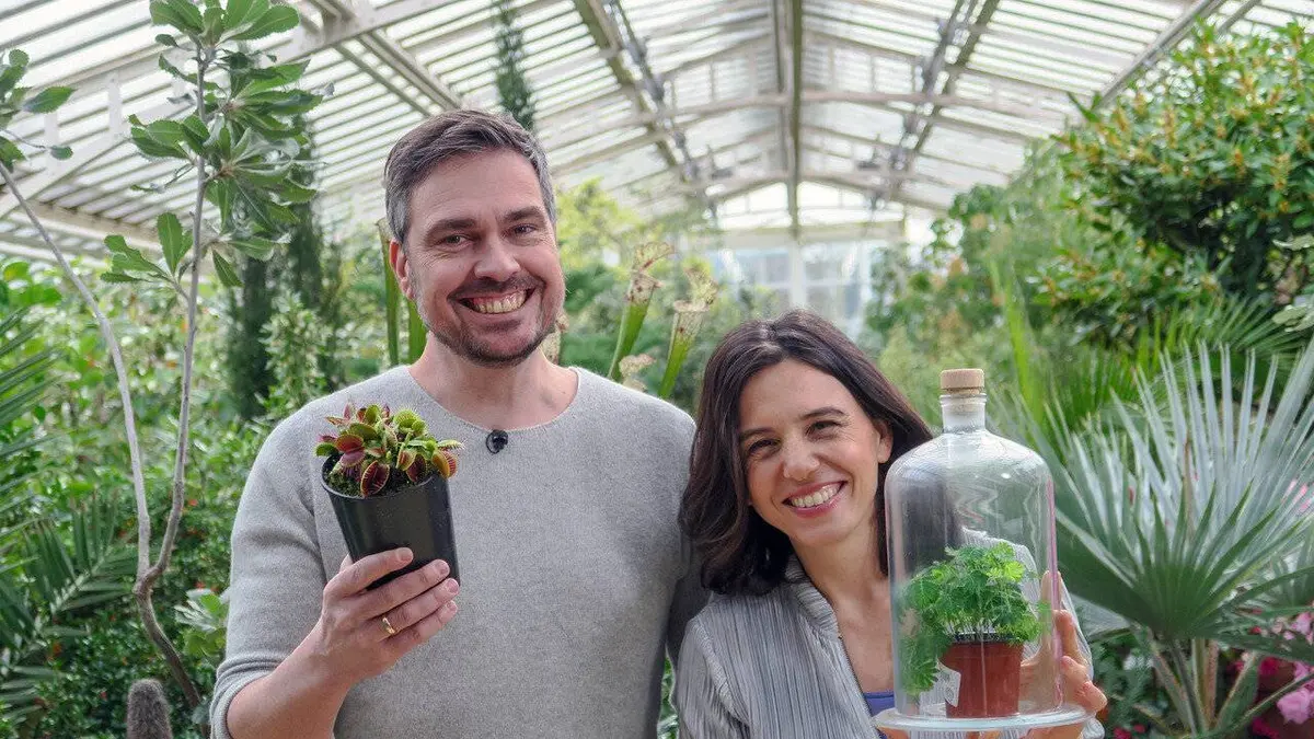 X:enius Plantes intelligentes