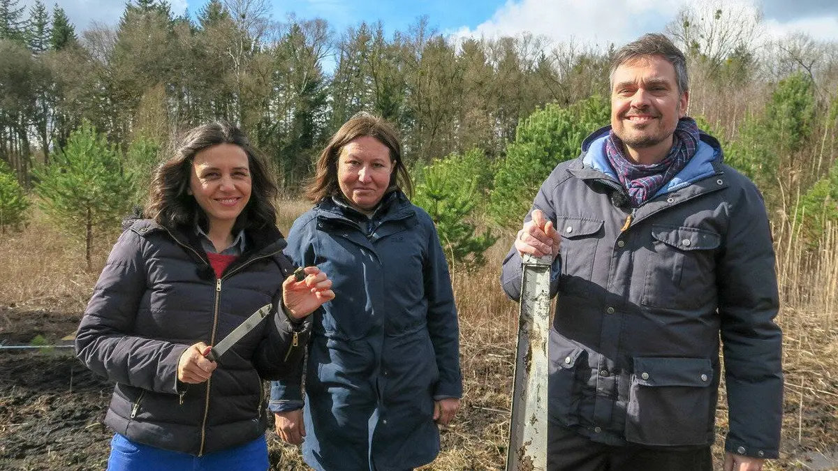 X:enius Les pollens : Sur les traces de la palynologie