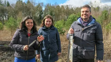 Les pollens : Sur les traces de la palynologie