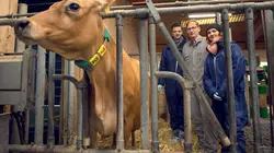 X:enius Le microbiote intestinal, un atout pour notre santé