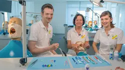 X:enius Comment bien entretenir nos dents