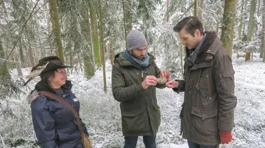 La mousse, des superpouvoirs méconnus