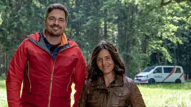 Les renards, rusés mais mal-aimés