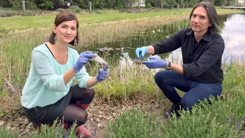 X:enius Surprenants virus