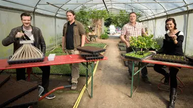 Les semences : une diversité cruciale