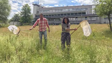 Place à la nature : Les leçons à tirer du confinement