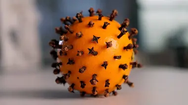 Les zoonoses, ces maladies transmises par les animaux